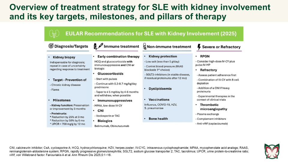 Publication thumbnail: EULAR recommendations for the management of systemic lupus erythematosus with kidney involvement: 2025 update