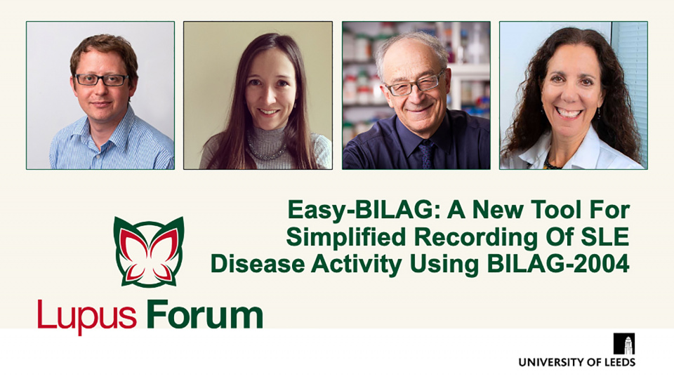 Easy-BILAG: A New Tool for Simplified Recording of SLE Disease Activity Using BILAG-2004