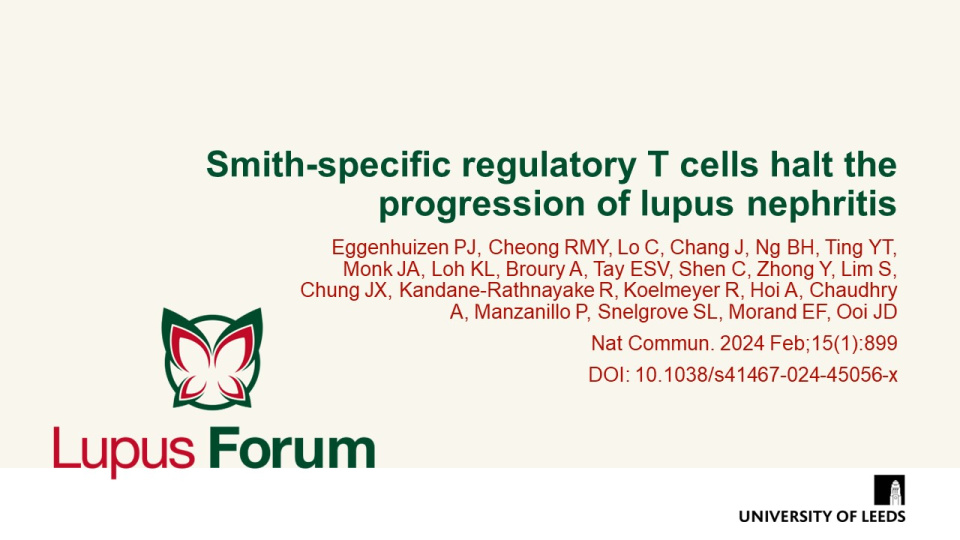 Publication thumbnail: Smith-specific regulatory T cells halt the progression of lupus nephritis