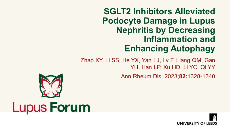Publication thumbnail: SGLT2 Inhibitors Alleviated Podocyte Damage in Lupus Nephritis by Decreasing Inflammation and Enhancing Autophagy