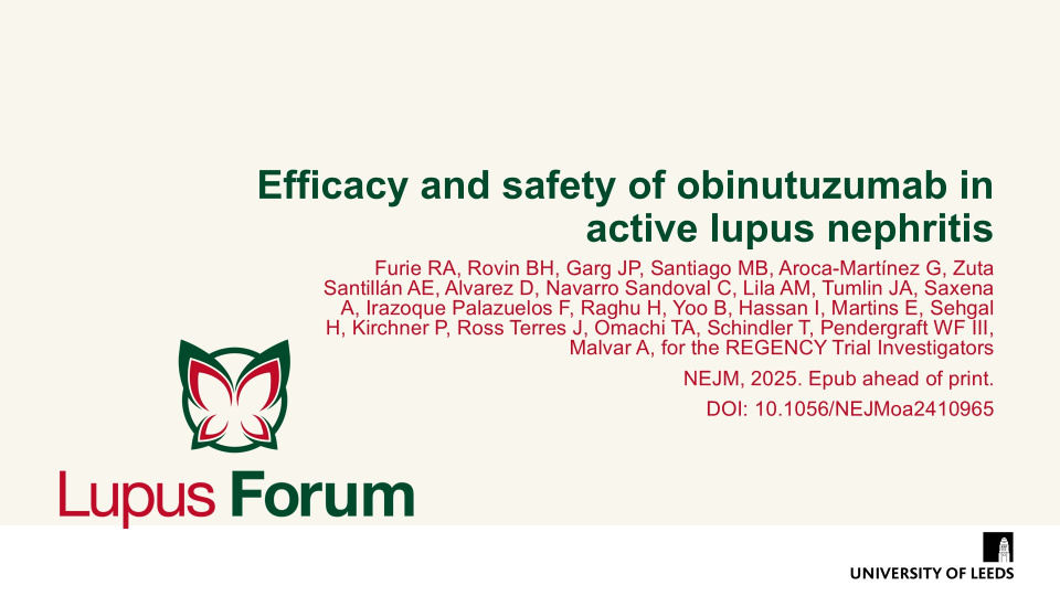 Publication thumbnail: Efficacy and safety of obinutuzumab in active lupus nephritis