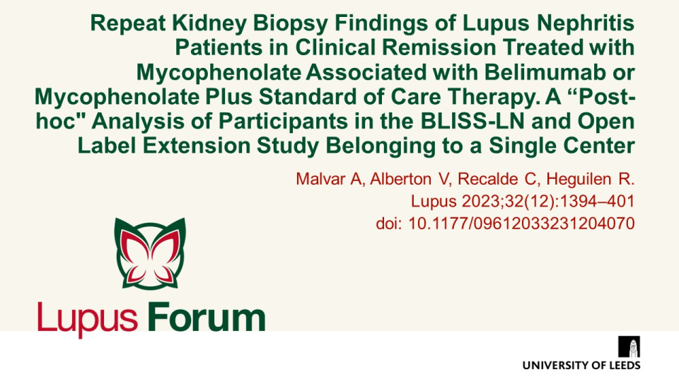 Publication thumbnail: Repeat Kidney Biopsy Findings of Lupus Nephritis Patients in Clinical Remission Treated with Mycophenolate Associated with Belimumab or Mycophenolate Plus Standard of Care Therapy. A “Post-hoc" Analysis of Participants in the BLISS-LN and Open Label Extension Study Belonging to a Single Center