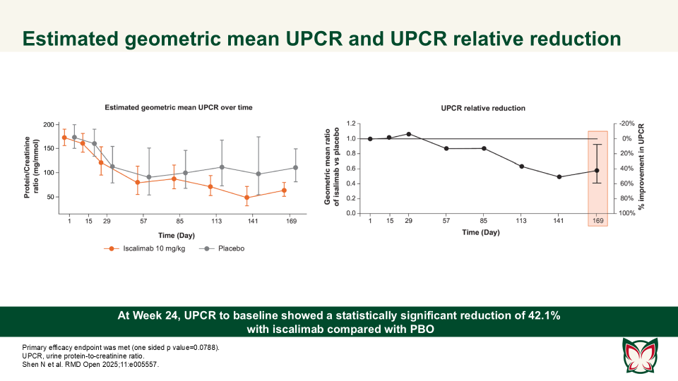 Publication thumbnail: Efficacy, pharmacokinetics and safety of iscalimab (CFZ533) in patients with proliferative lupus nephritis: A randomised, double-blind, placebo-controlled, Phase II study